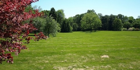 Thornwald Park